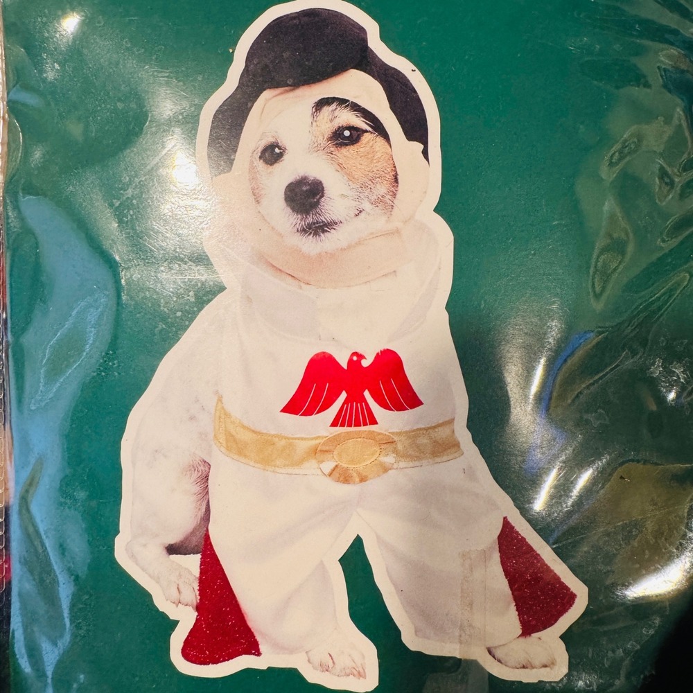 Elvis Presley Canine Halloween Costume Medium White Jumpsuit Wig Target 2005